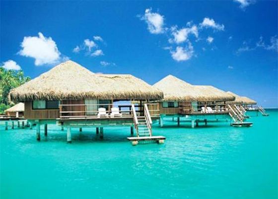 鋼鉄構造 木製 装飾家, プリファブリック バンガローハウス