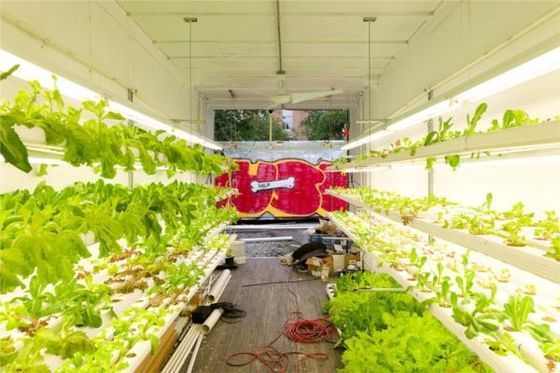 水力栽培 プレファブコンテナ住宅 軽鋼枠 モジュール型住宅